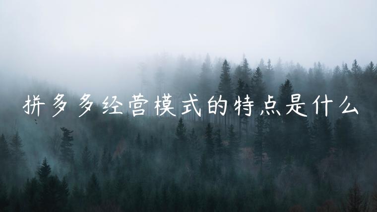 拼多多經(jīng)營模式的特點(diǎn)是什么